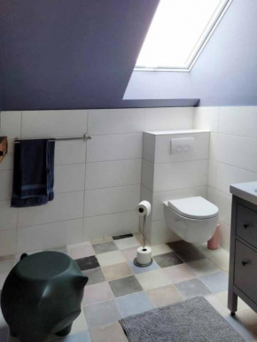 Funke9 Plejaden, Rosenow